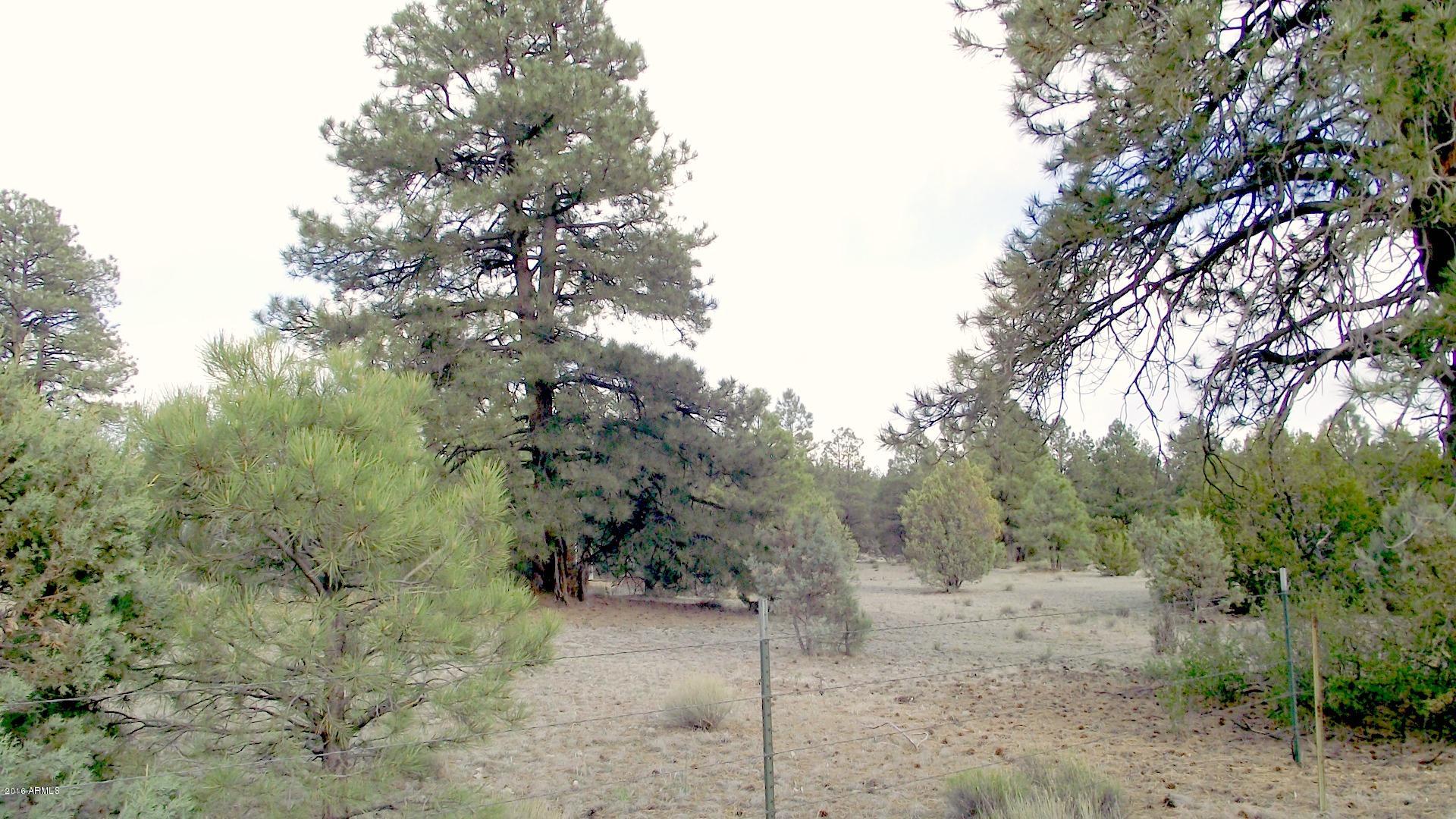 1804 West Rupe Tank Road Williams, AZ 86046 - Photo 6 of 14 DSCF8684