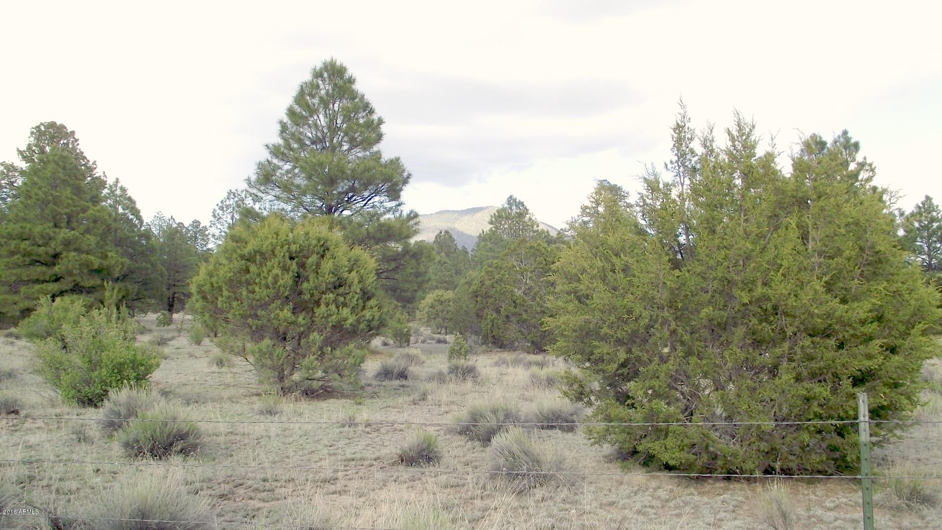1804 West Rupe Tank Road Williams, AZ 86046 - Photo 7 of 14 DSCF8685
