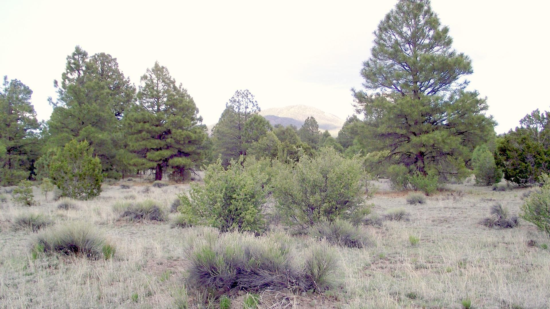 1804 West Rupe Tank Road Williams, AZ 86046 - Photo 8 of 14 DSCF8688