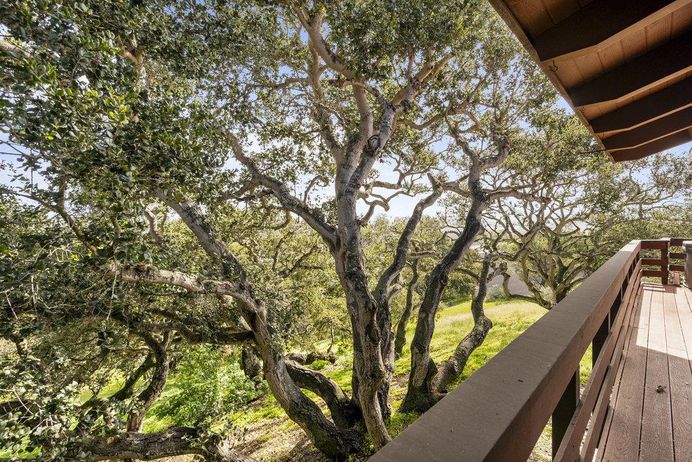 14104 Reservation Road Salinas, CA 93908 - Photo 42 of 56 a view of mountain view from a balcony