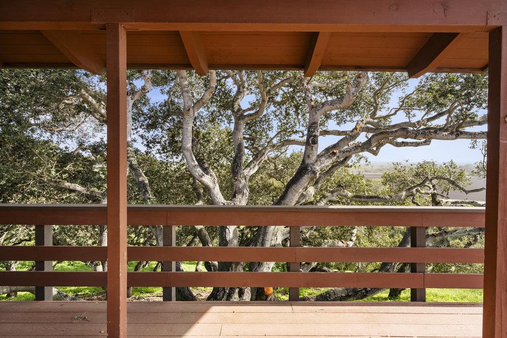 14104 Reservation Road Salinas, CA 93908 - Photo 43 of 56 a view of a street with a tree