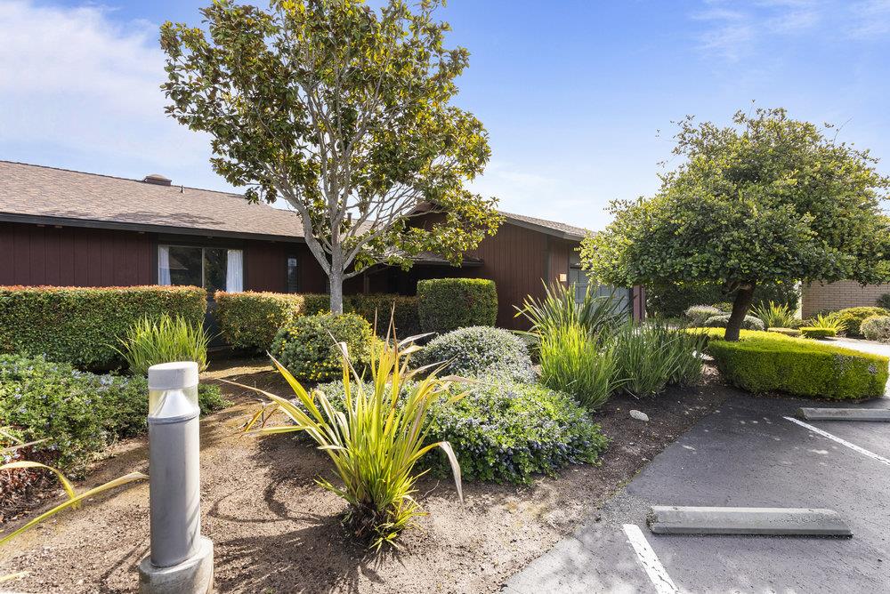 14104 Reservation Road Salinas, CA 93908 - Photo 6 of 56 a view of a backyard with plants