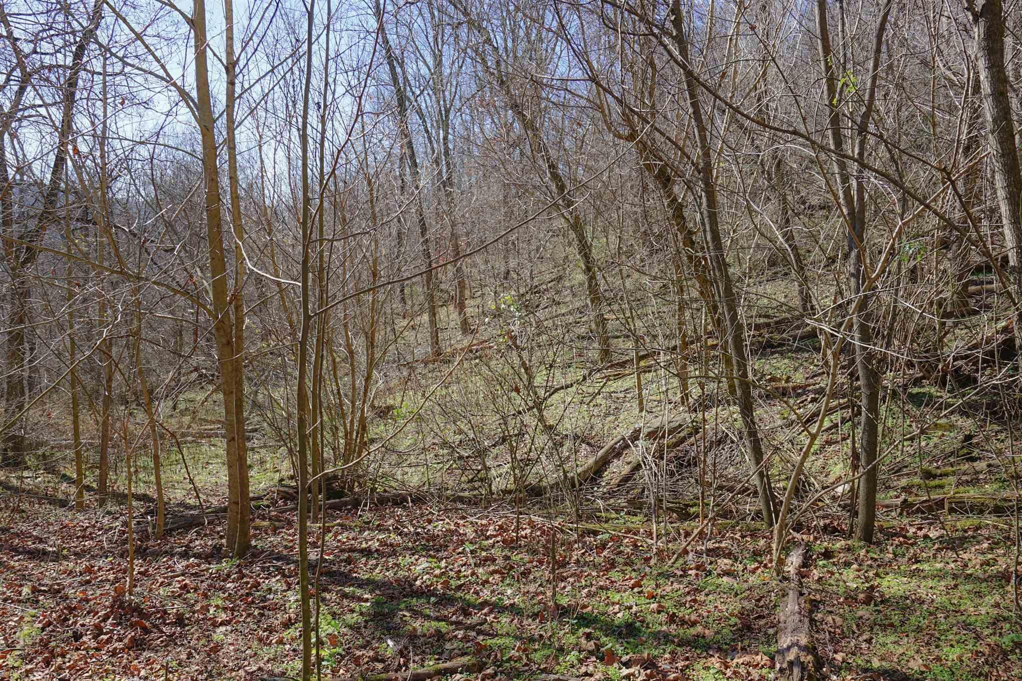 High Noon Road Pembroke, VA 24136 - Photo 18 of 19 Gallery Image 18