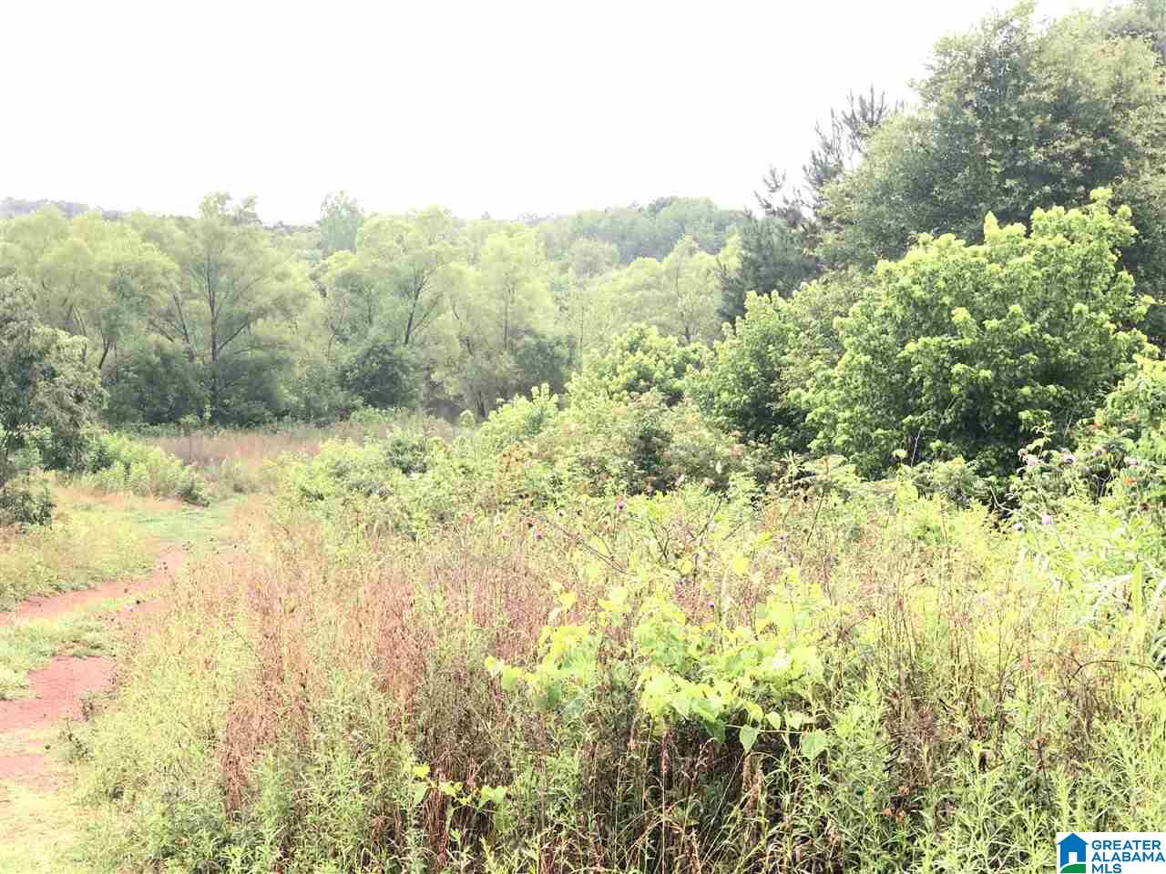 0 Old Downey Mill Road Anniston, AL 36207 - Photo 14 of 28