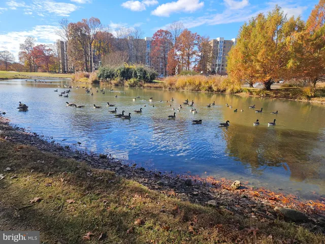 $220,000 | 15107 Interlachen Drive, Unit 2815, Silver Spring, MD 20906