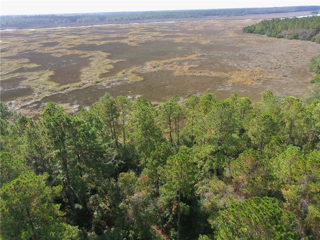 0 Confederate Point Drive White Oak, GA 31568 - Photo 2 of 4