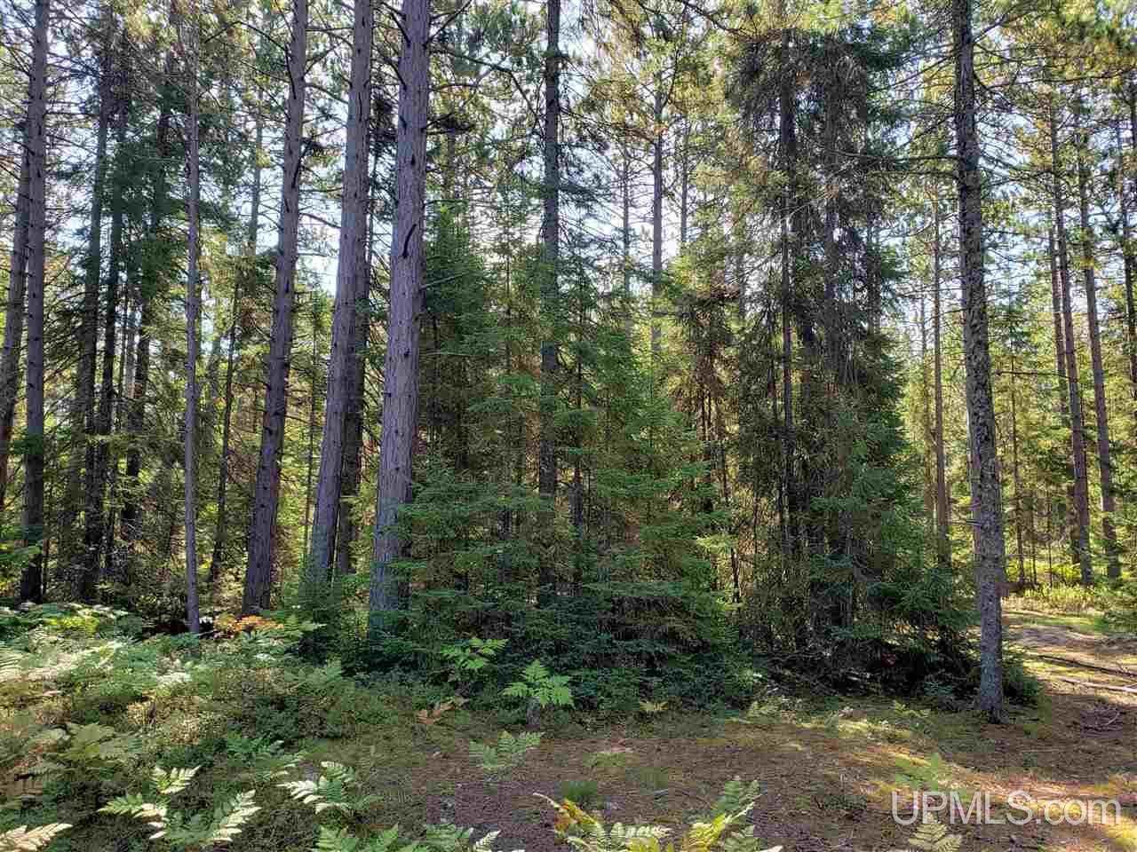 Tbd Little Rice Lake Road, Unit 54 Lake Linden, MI 49945 - Photo 1 of 15 Gallery Image 1