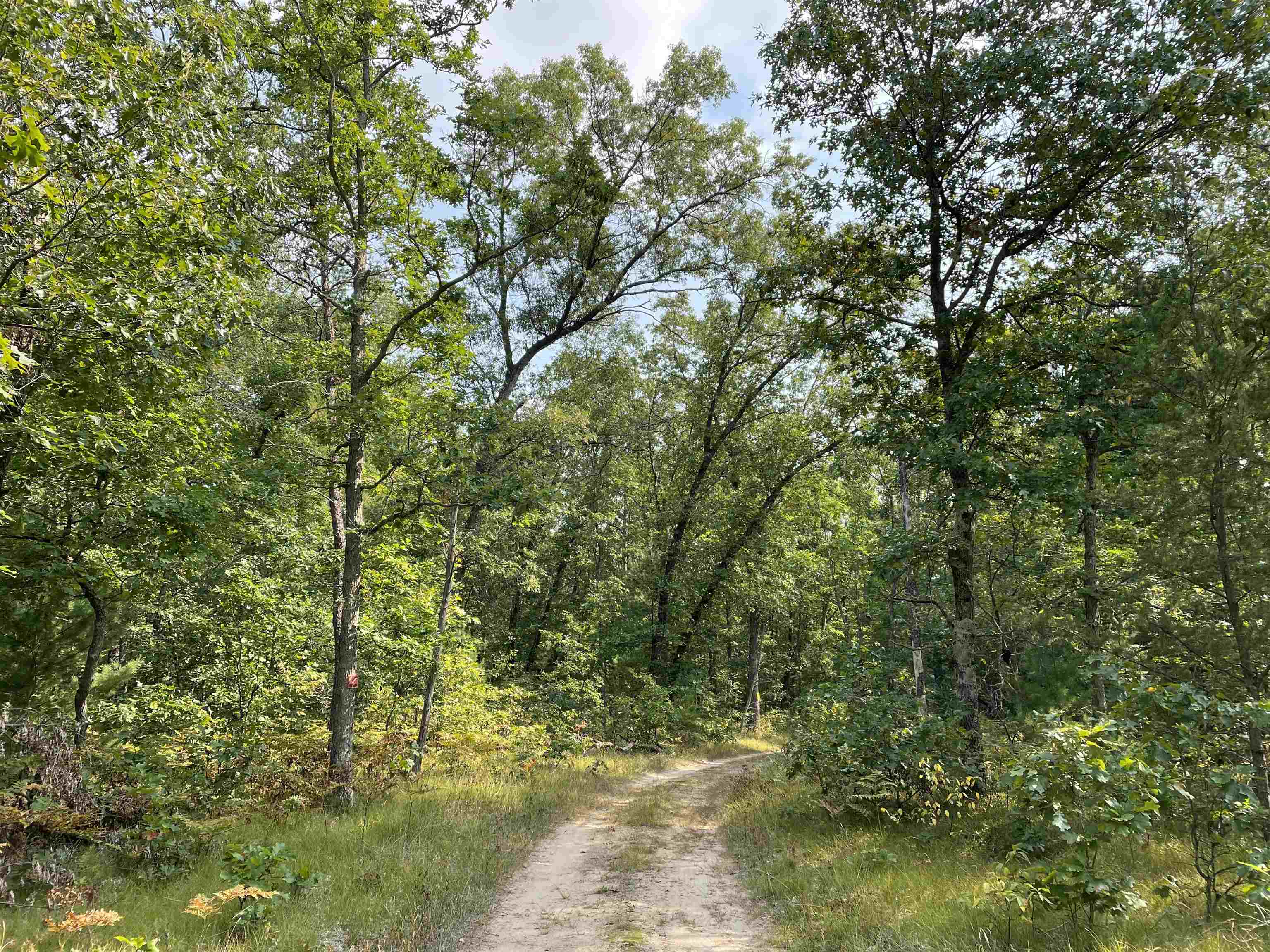 0 Koenig Road, Unit FREESOIL TOWNSHIP Free Soil, MI 49411 - Photo 7 of 11