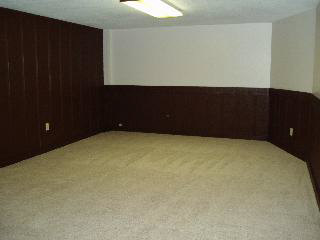 6295 Swiss Garden Road Temperance, MI 48182 - Photo 17 of 20 Basement