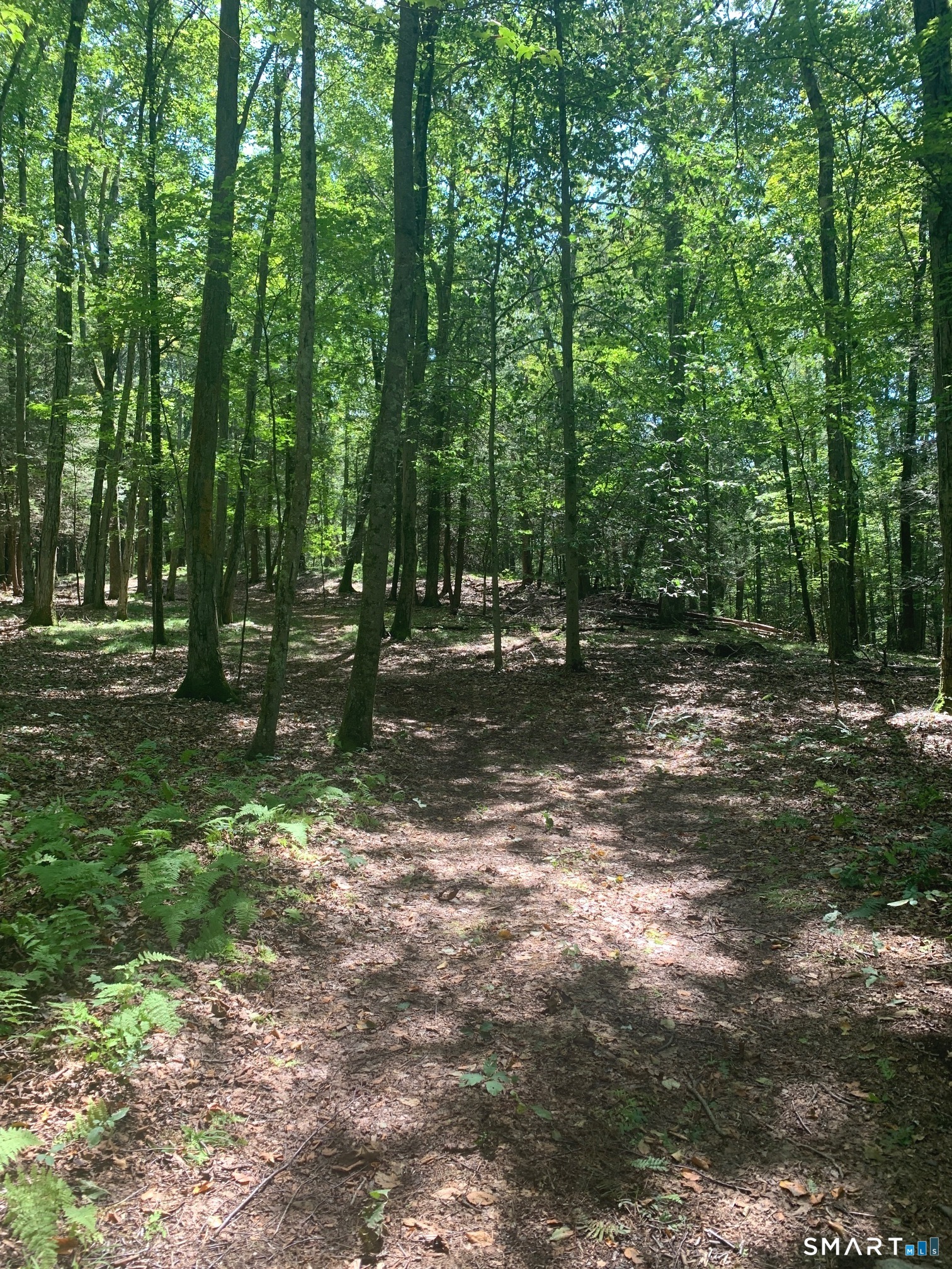 Lot 1 West Chalybes Road Roxbury, CT 06783 - Photo 2 of 5 a backyard of a house with lots of green space