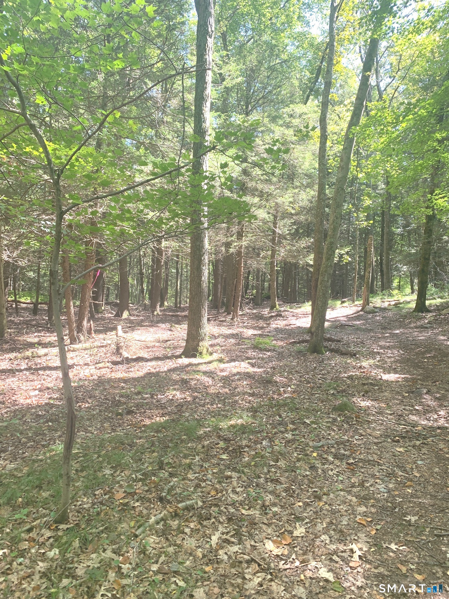 Lot 1 West Chalybes Road Roxbury, CT 06783 - Photo 4 of 5