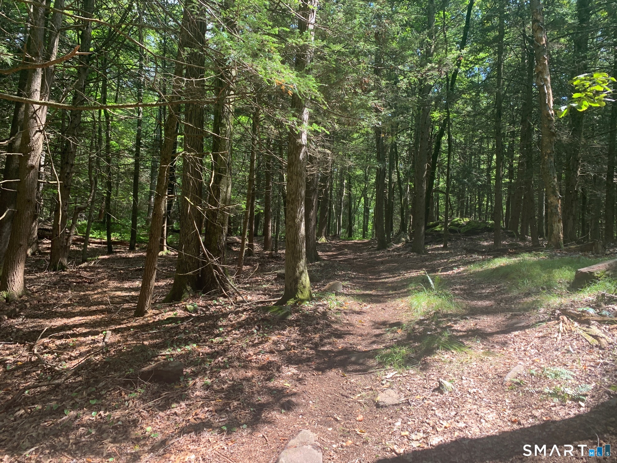 Lot 1 West Chalybes Road Roxbury, CT 06783 - Photo 5 of 5 a view of outdoor space with trees