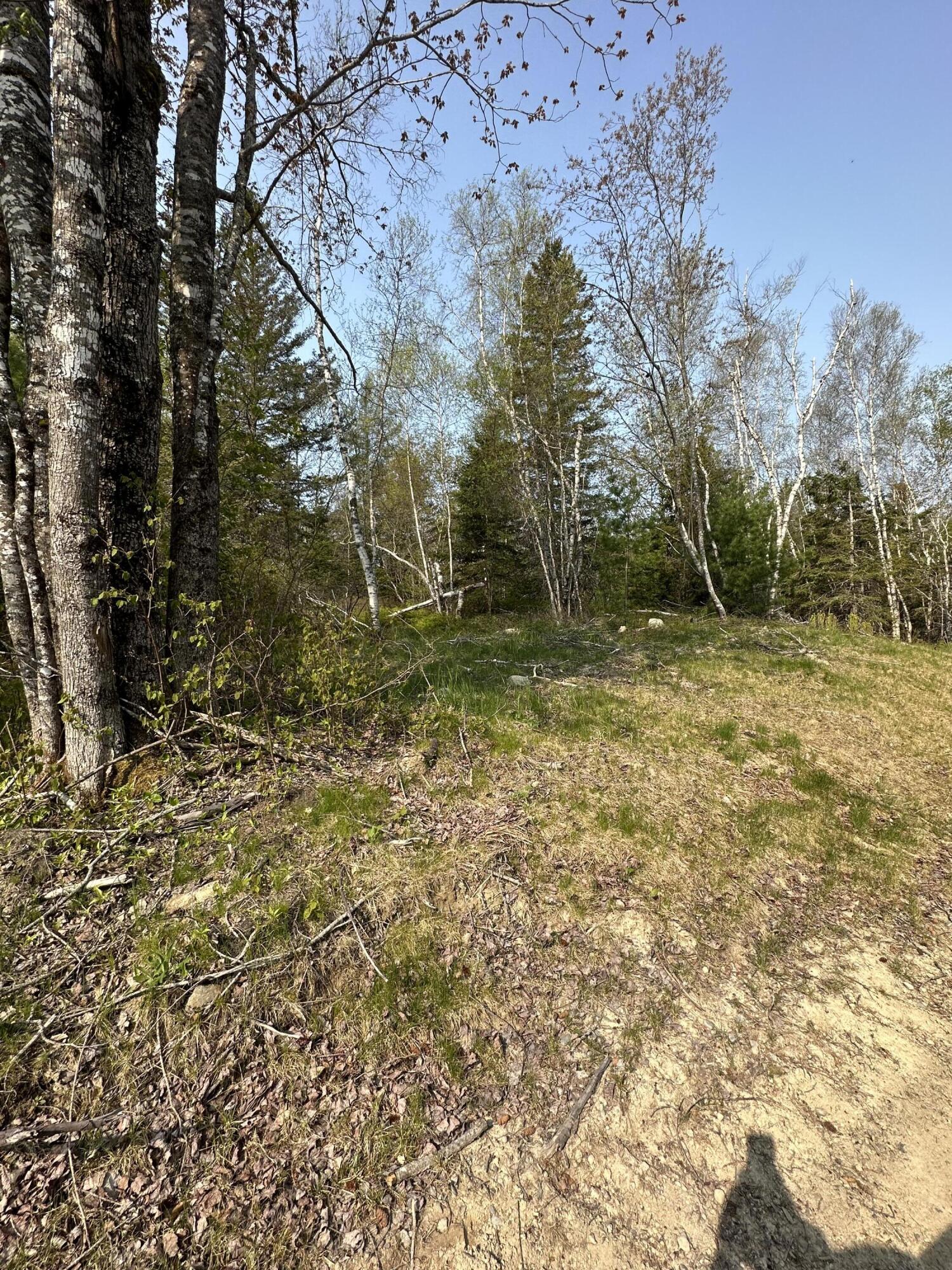 Tbd Cates Road Harrington, ME 04643 - Photo 4 of 8 IMG_6951