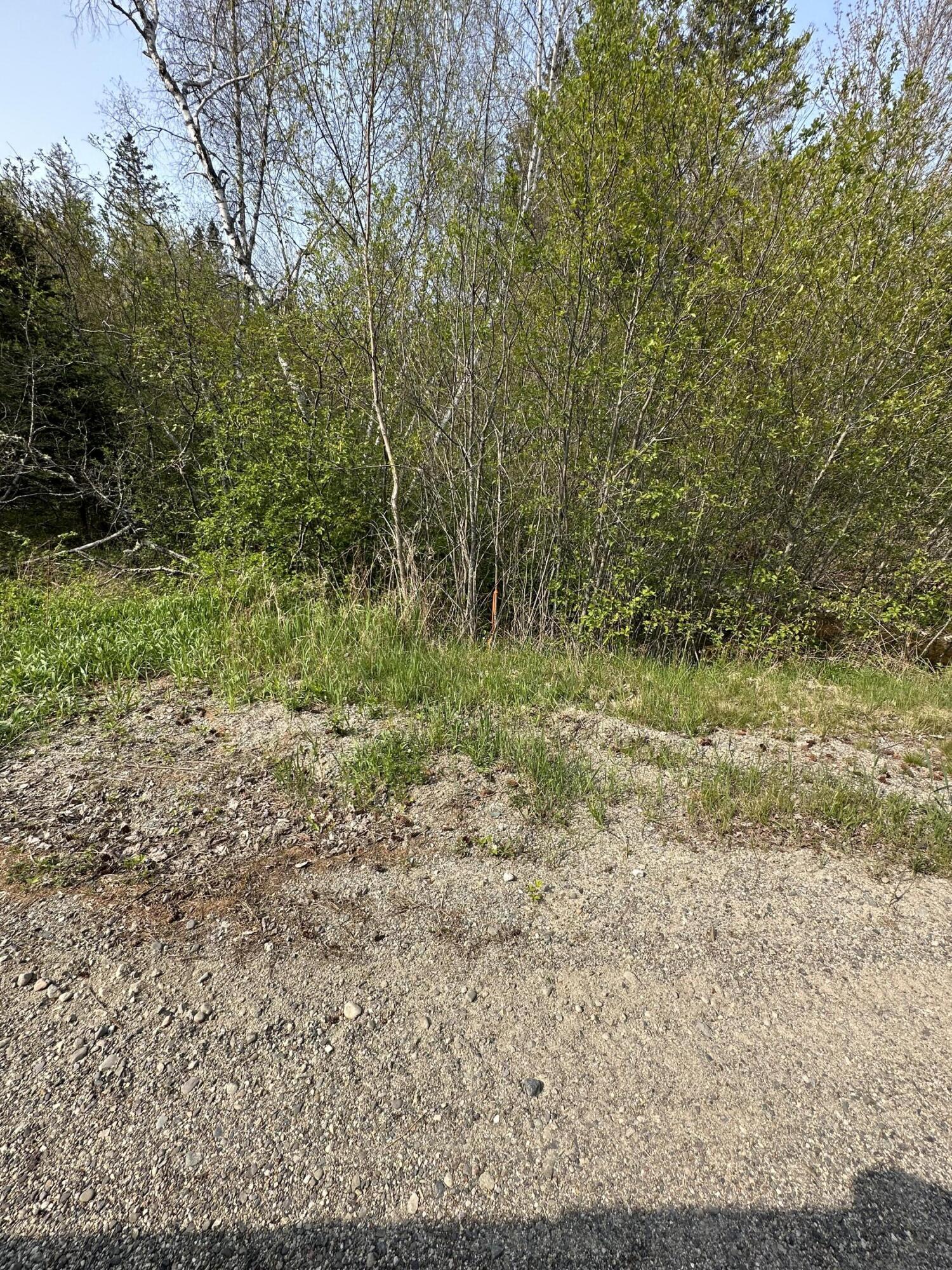 Tbd Cates Road Harrington, ME 04643 - Photo 5 of 8 IMG_6952