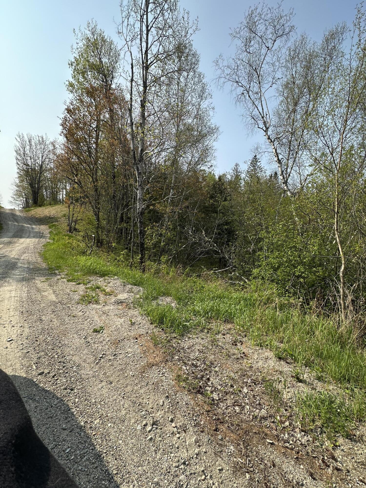 Tbd Cates Road Harrington, ME 04643 - Photo 6 of 8 IMG_6953