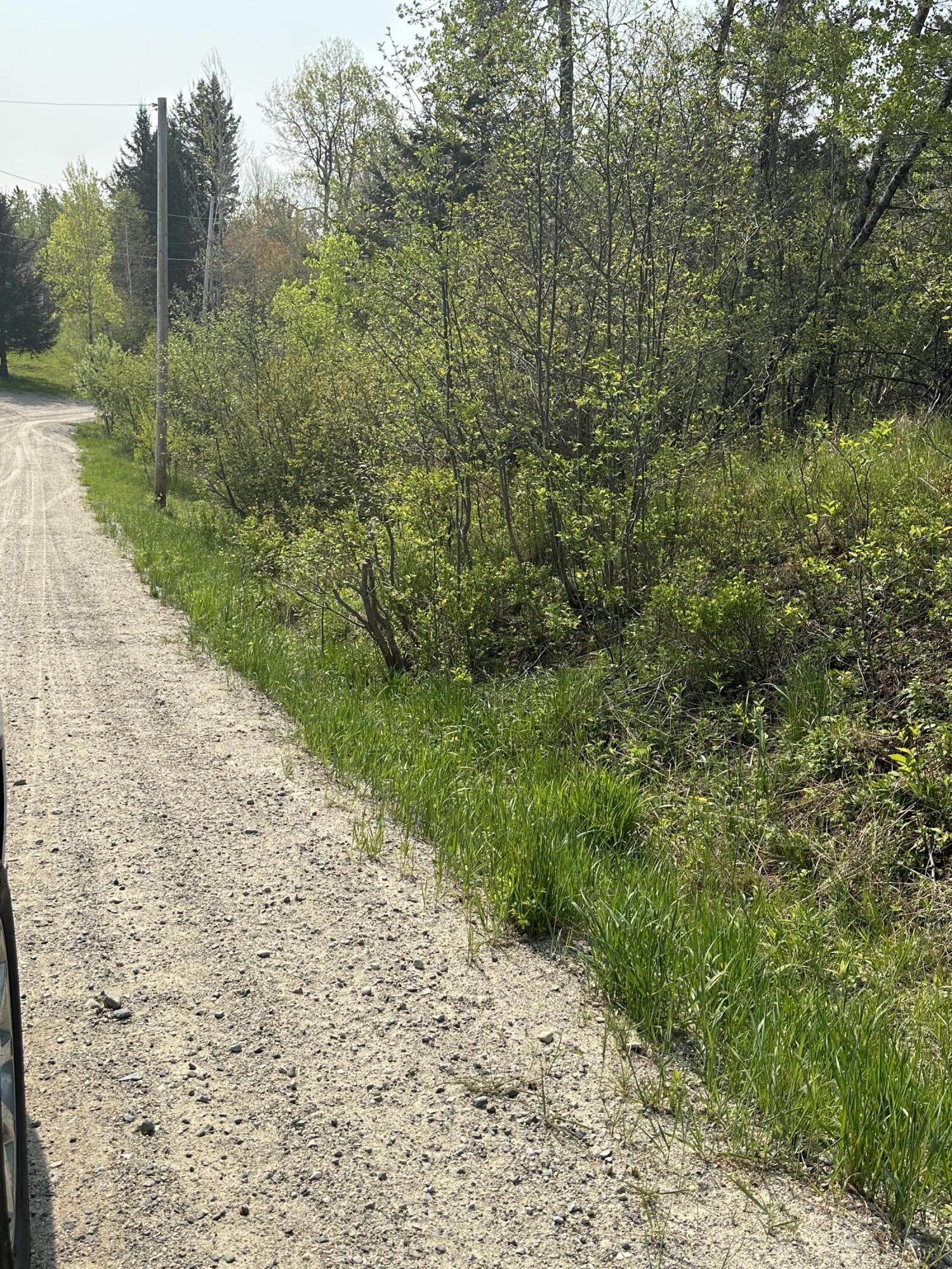 Tbd Cates Road Harrington, ME 04643 - Photo 8 of 8 IMG_6955