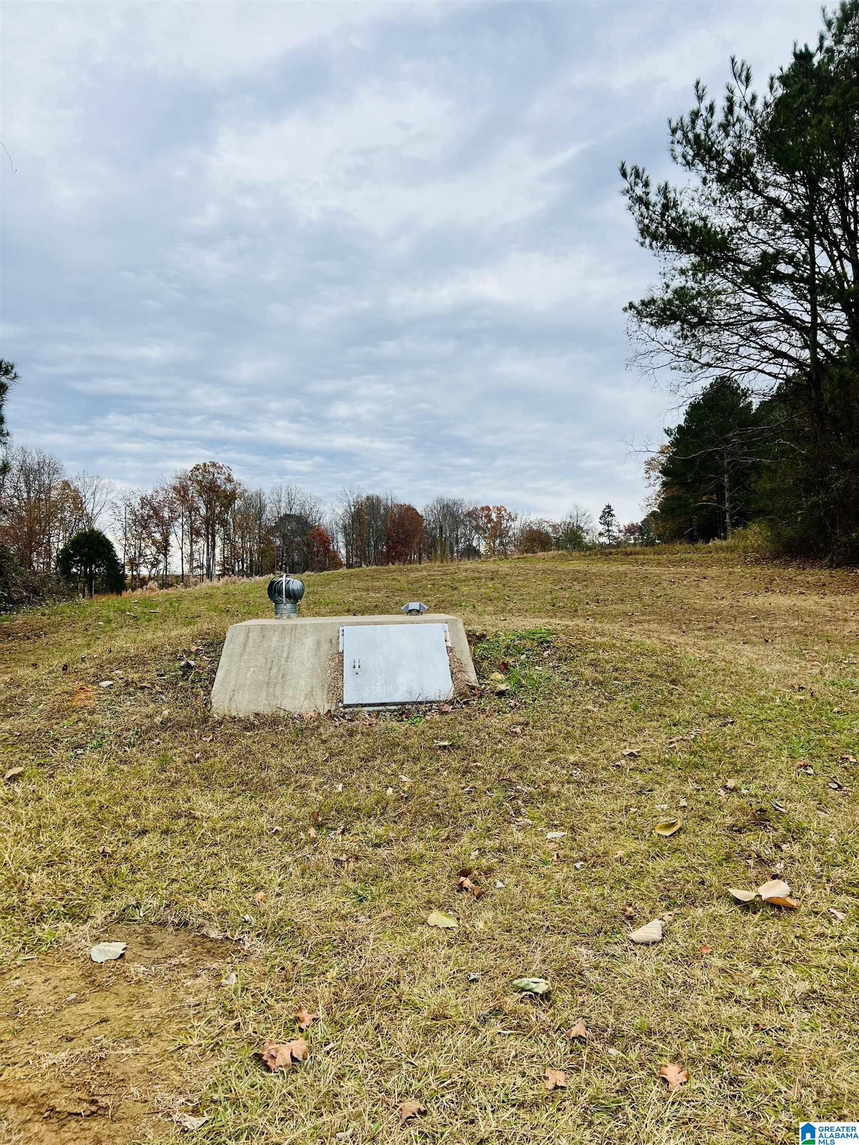 272 County Road 143 Arley, AL 35541 - Photo 4 of 30