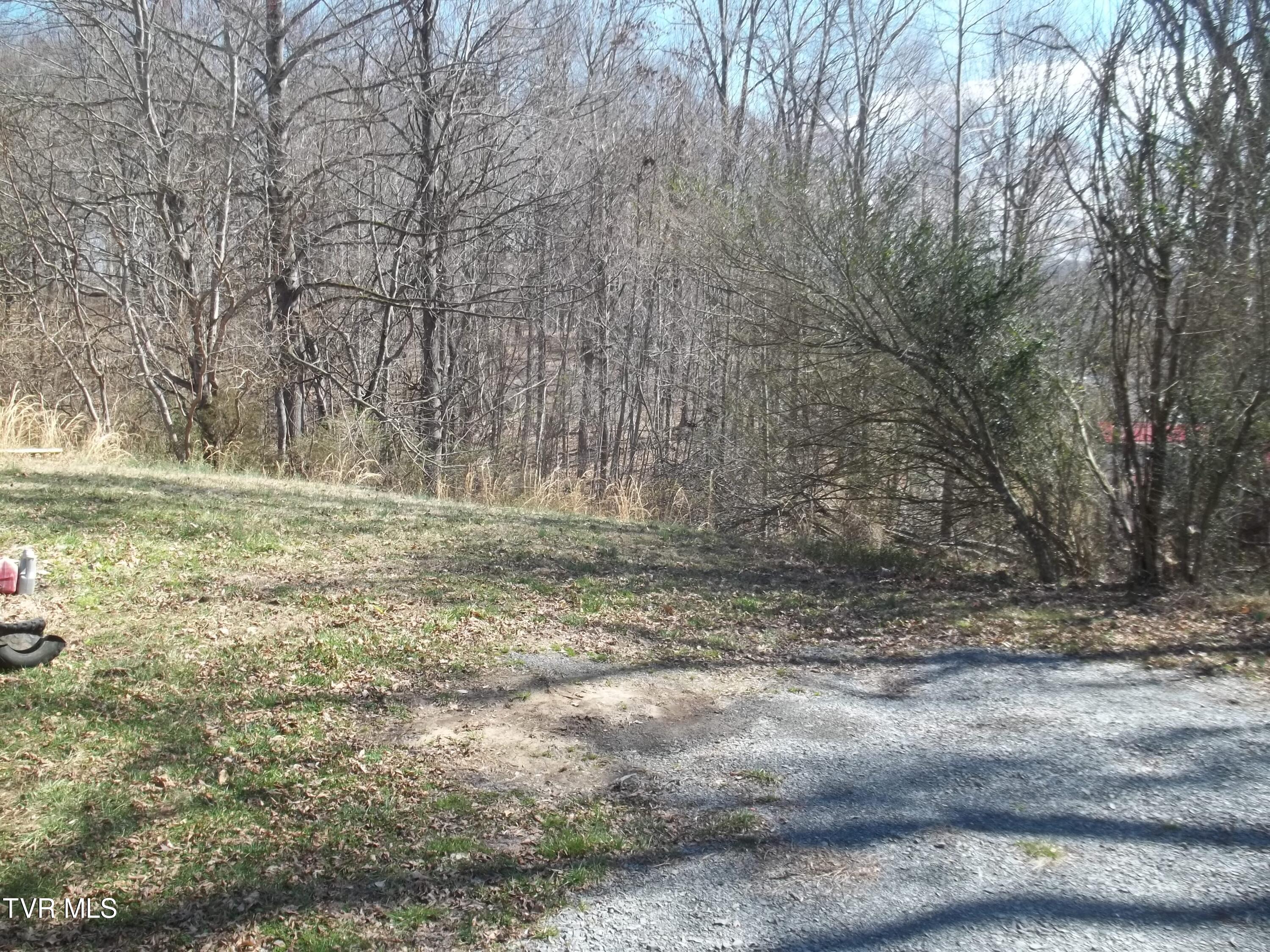 201 Ridgecrest Road Jonesborough, TN 37659 - Photo 5 of 26 100_0918