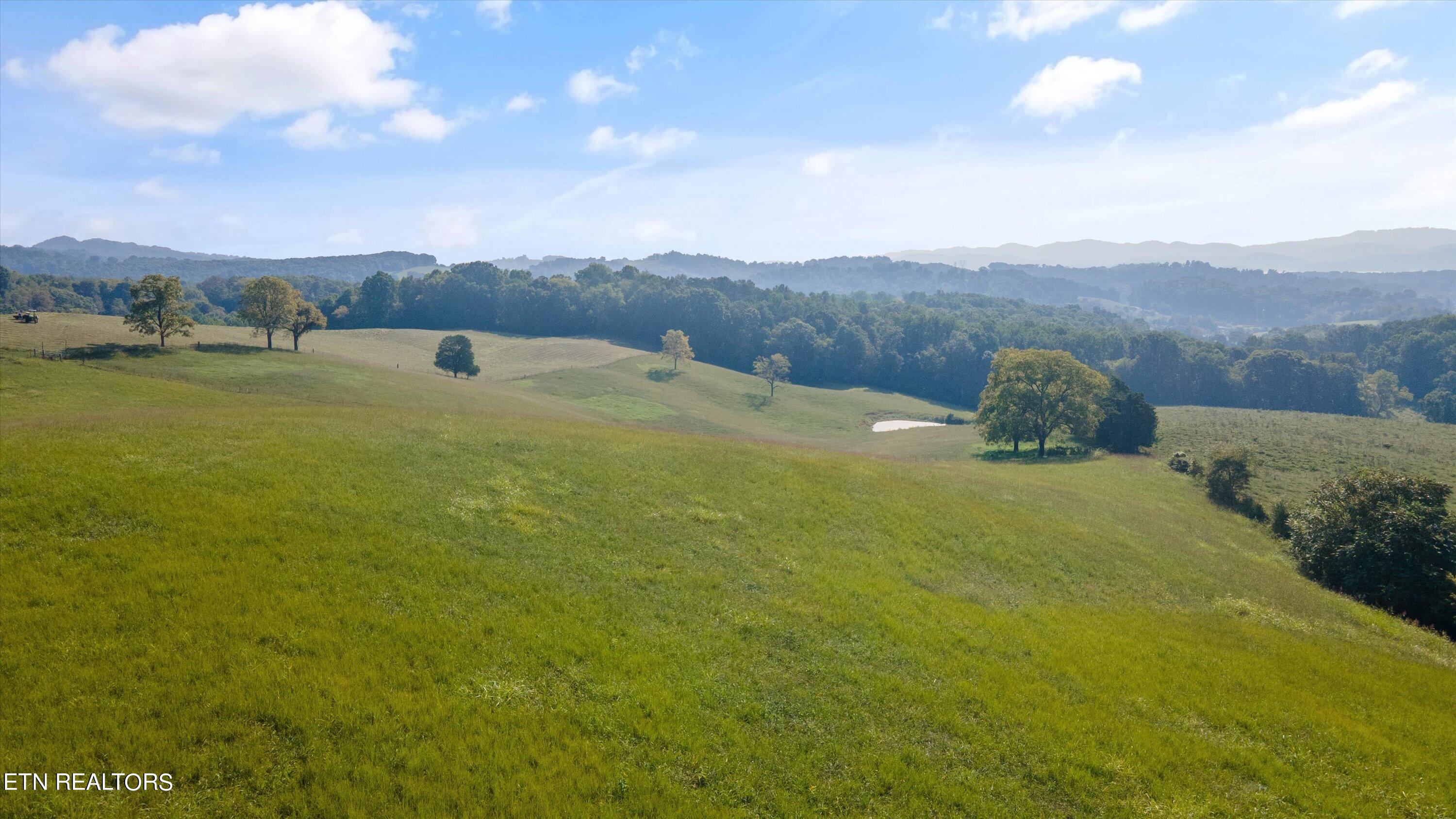 Lot 1 Hugh Cameron Road Rutledge, TN 37861 - Photo 4 of 15 14-HughCameronrd13