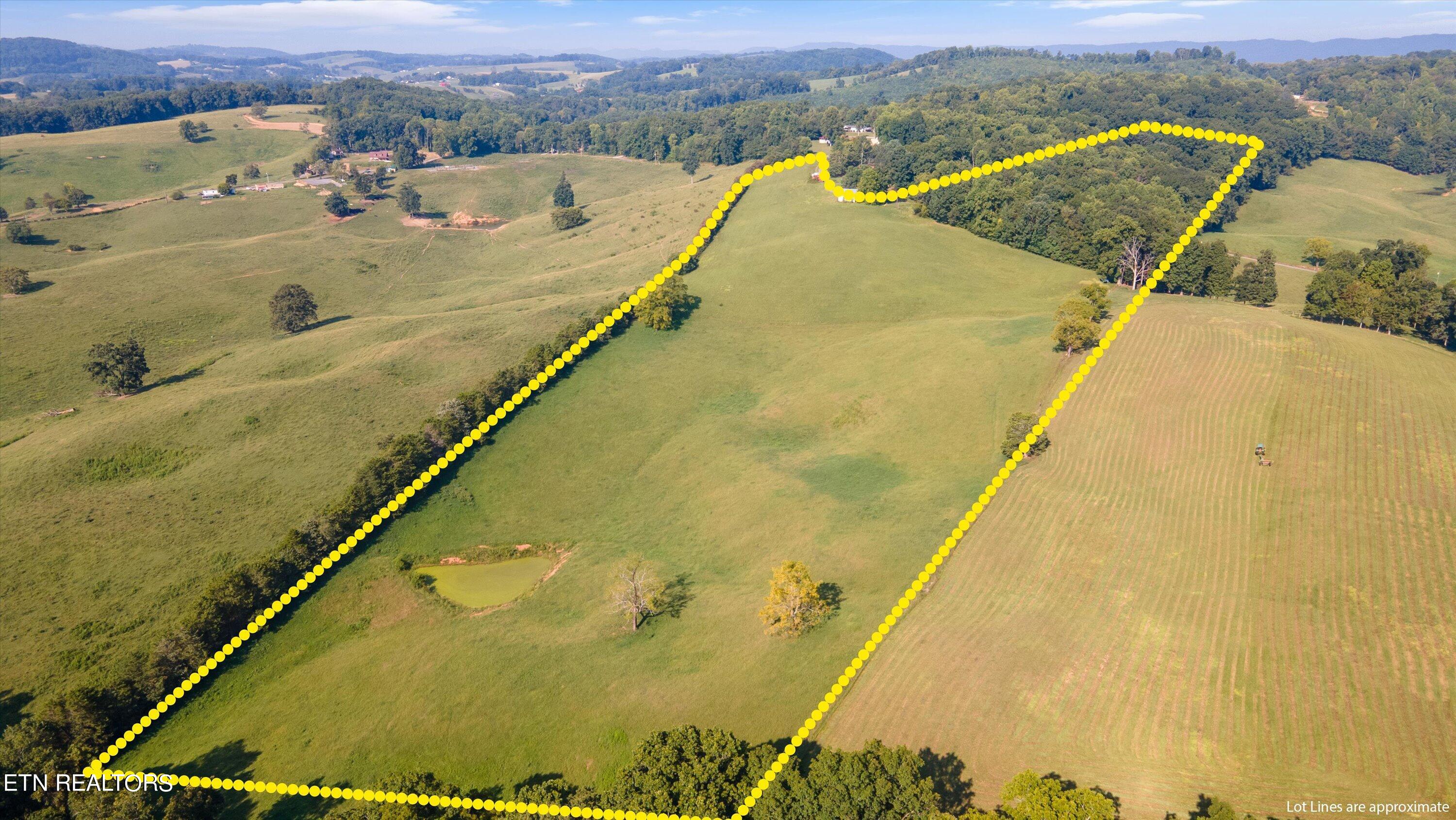 Lot 1 Hugh Cameron Road Rutledge, TN 37861 - Photo 5 of 15 02-HughCameronrd05