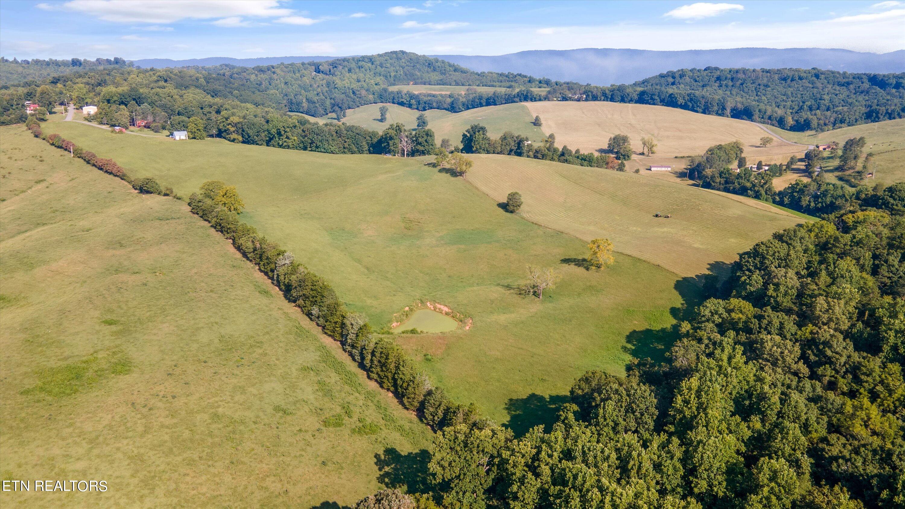 Lot 1 Hugh Cameron Road Rutledge, TN 37861 - Photo 6 of 15 05-HughCameronrd03