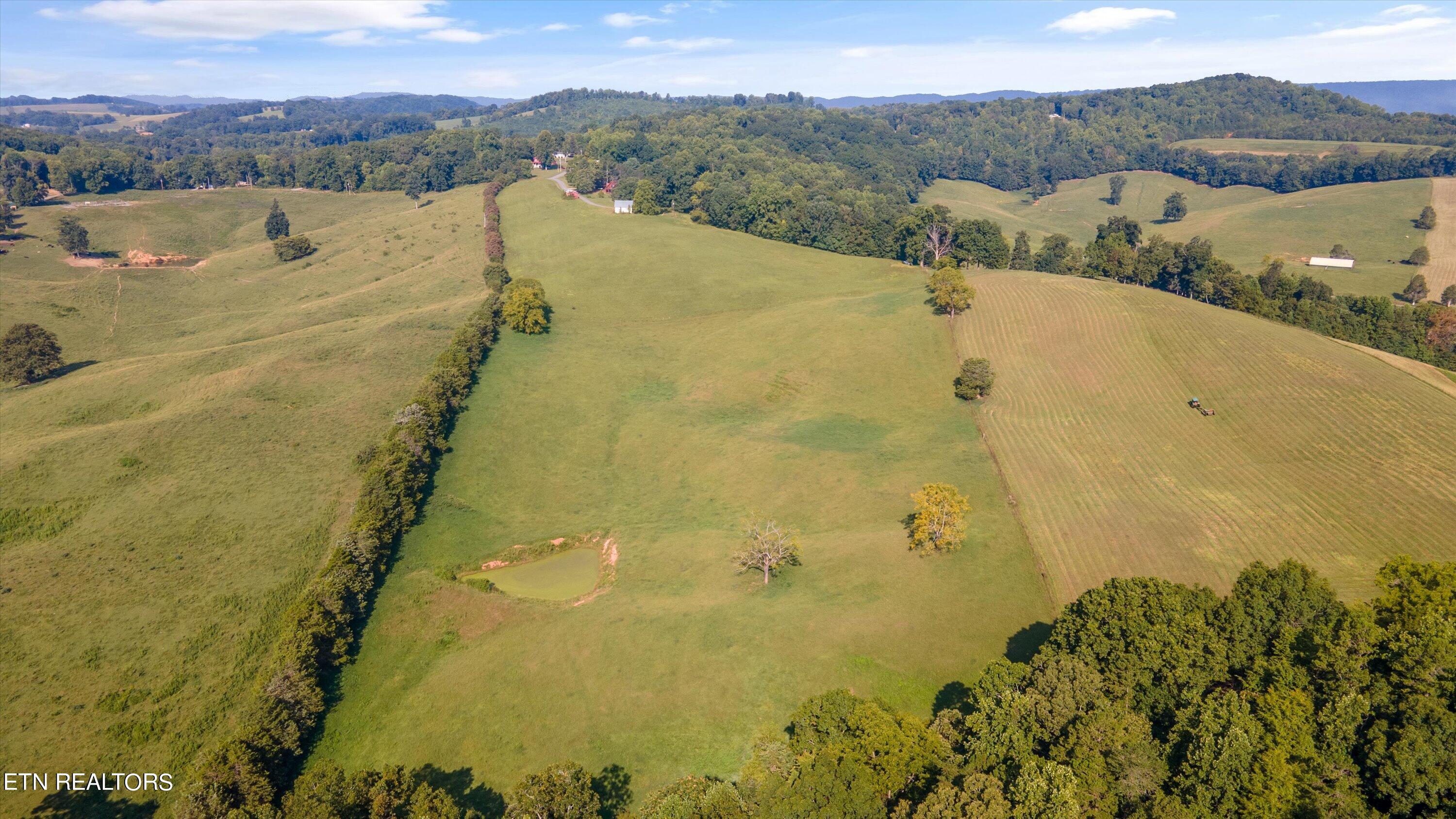 Lot 1 Hugh Cameron Road Rutledge, TN 37861 - Photo 7 of 15 06-HughCameronrd04