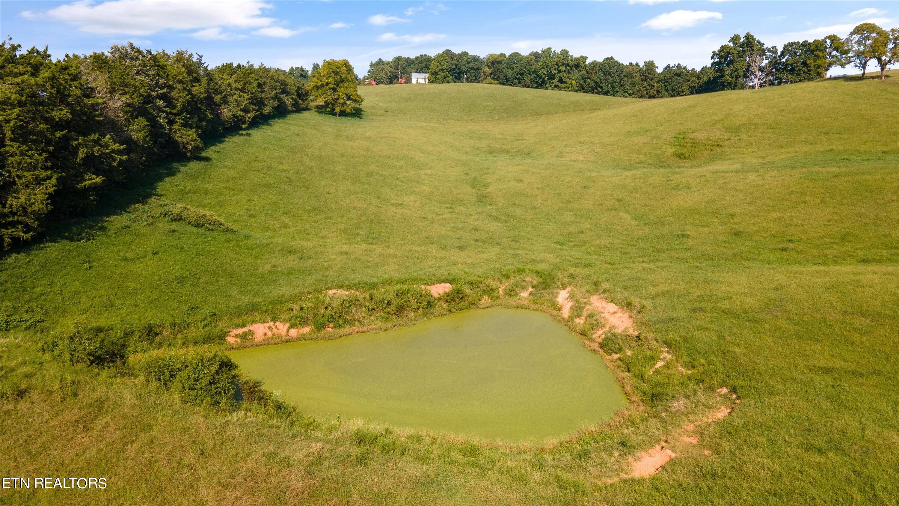 Lot 1 Hugh Cameron Road Rutledge, TN 37861 - Photo 9 of 15 08-HughCameronrd06