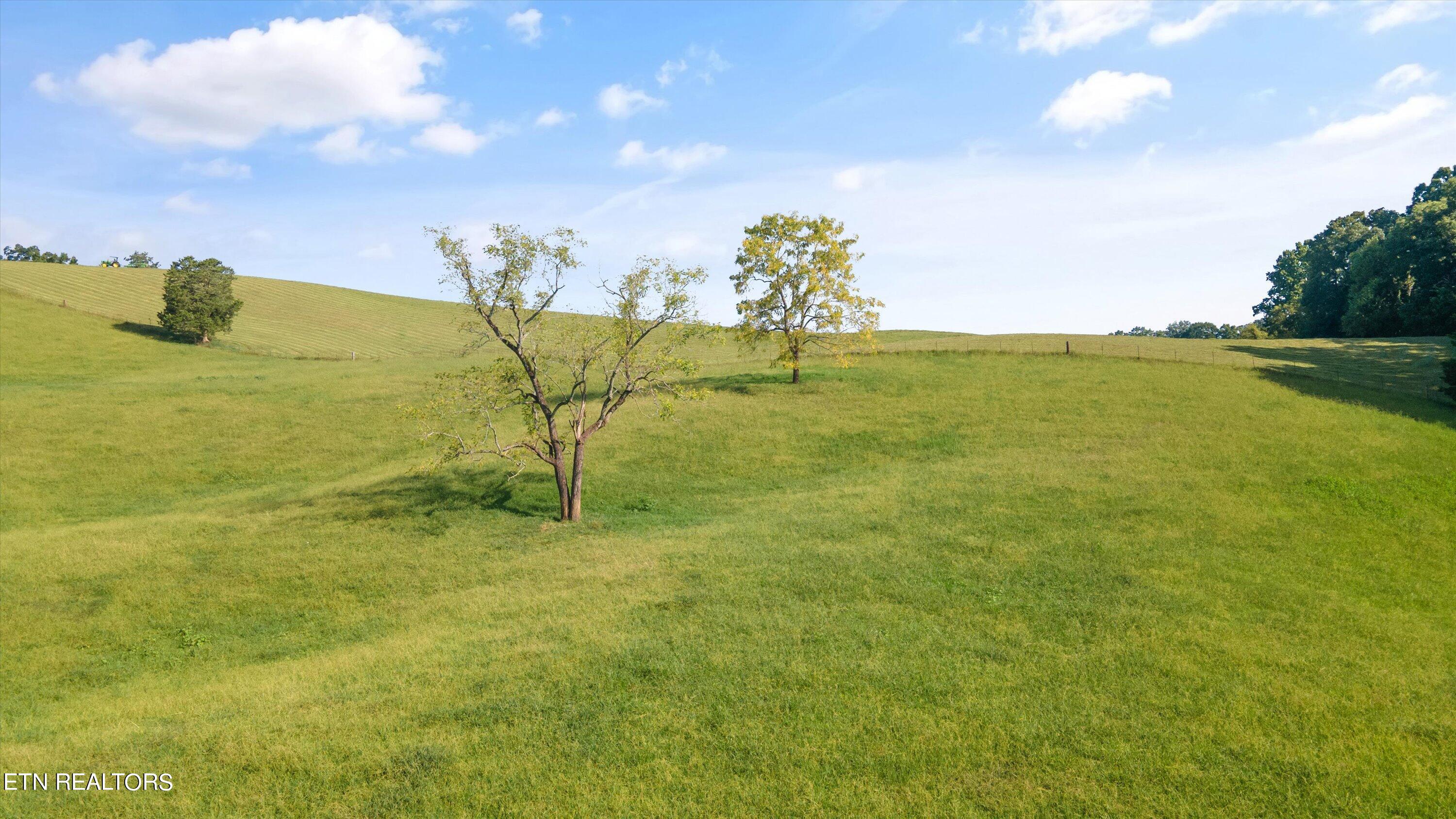 Lot 1 Hugh Cameron Road Rutledge, TN 37861 - Photo 10 of 15 09-HughCameronrd07