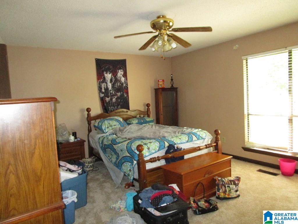 434 Skyview Lake Road Warrior, AL 35180 - Photo 12 of 17