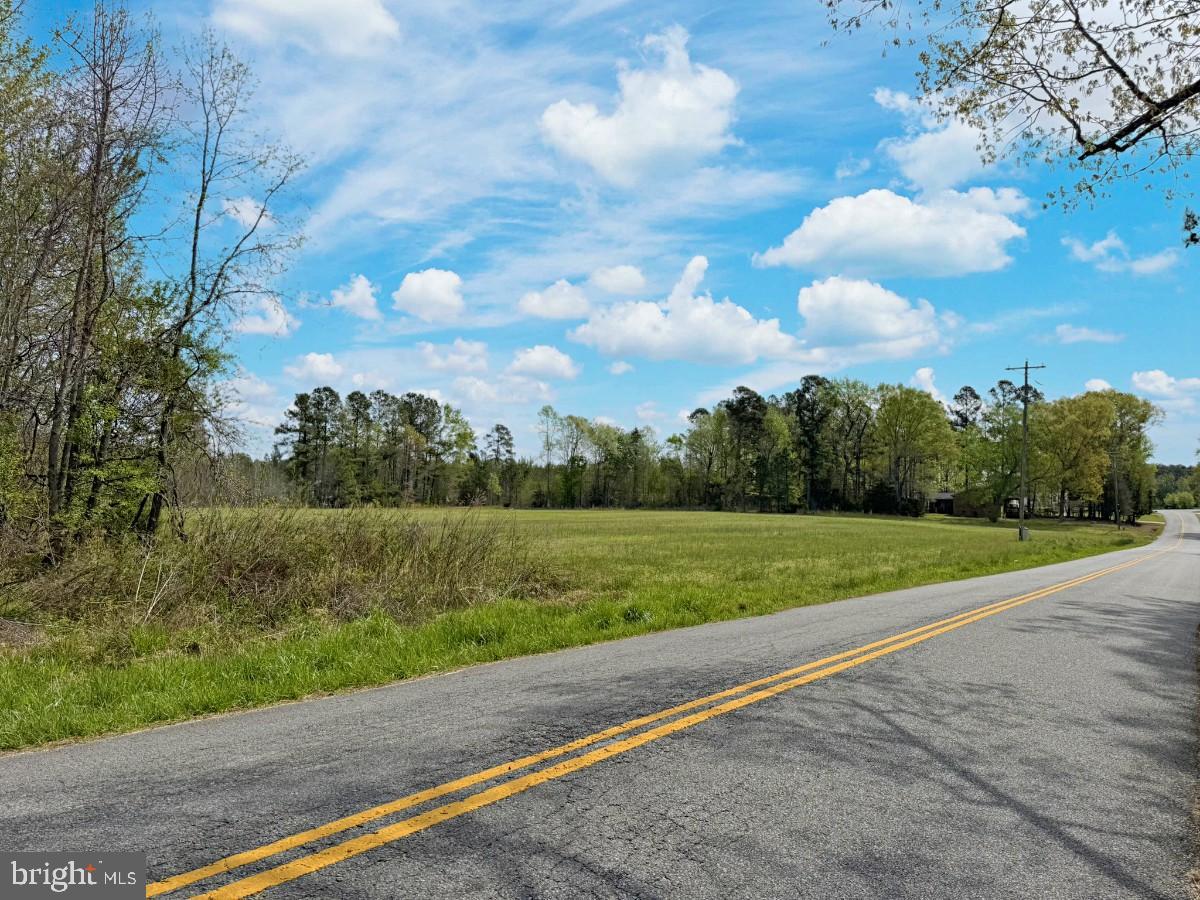 0 Belfield Road Freeman, VA 23856 - Photo 13 of 18