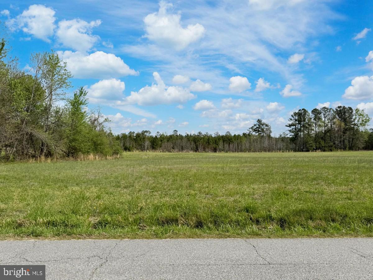 0 Belfield Road Freeman, VA 23856 - Photo 14 of 18