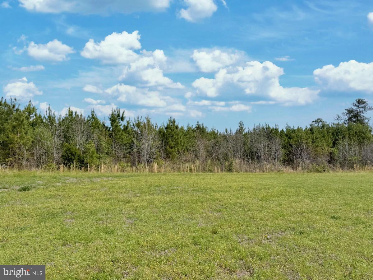 0 Belfield Road Freeman, VA 23856 - Photo 15 of 18