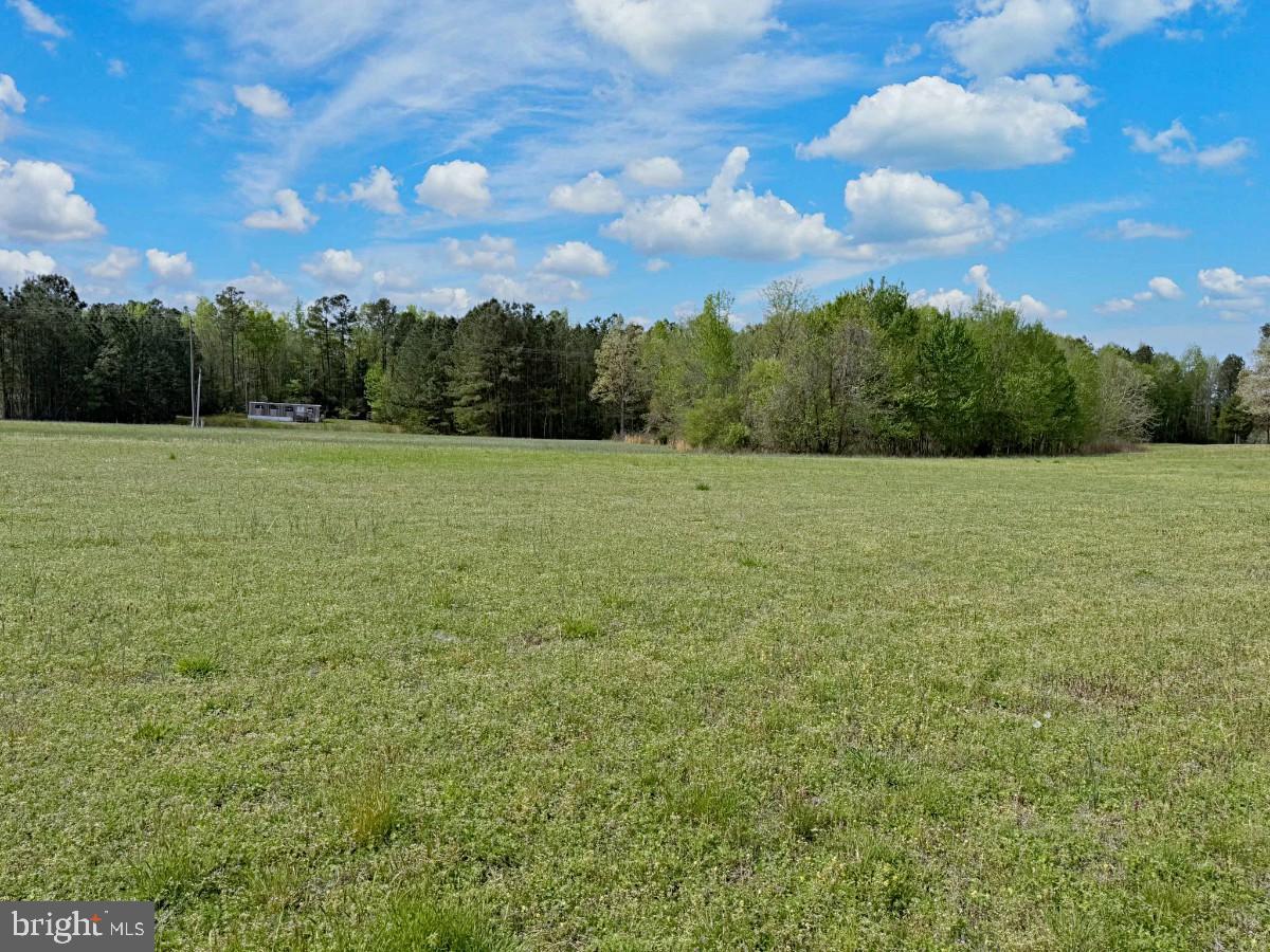 0 Belfield Road Freeman, VA 23856 - Photo 18 of 18