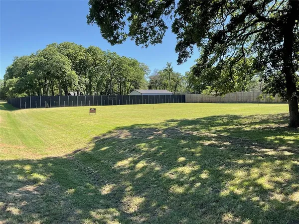 a view of a large body of water with a large tree