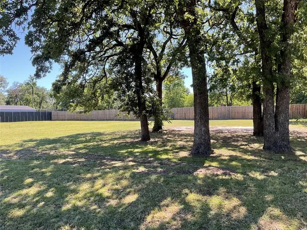 a view of an ocean with a large tree
