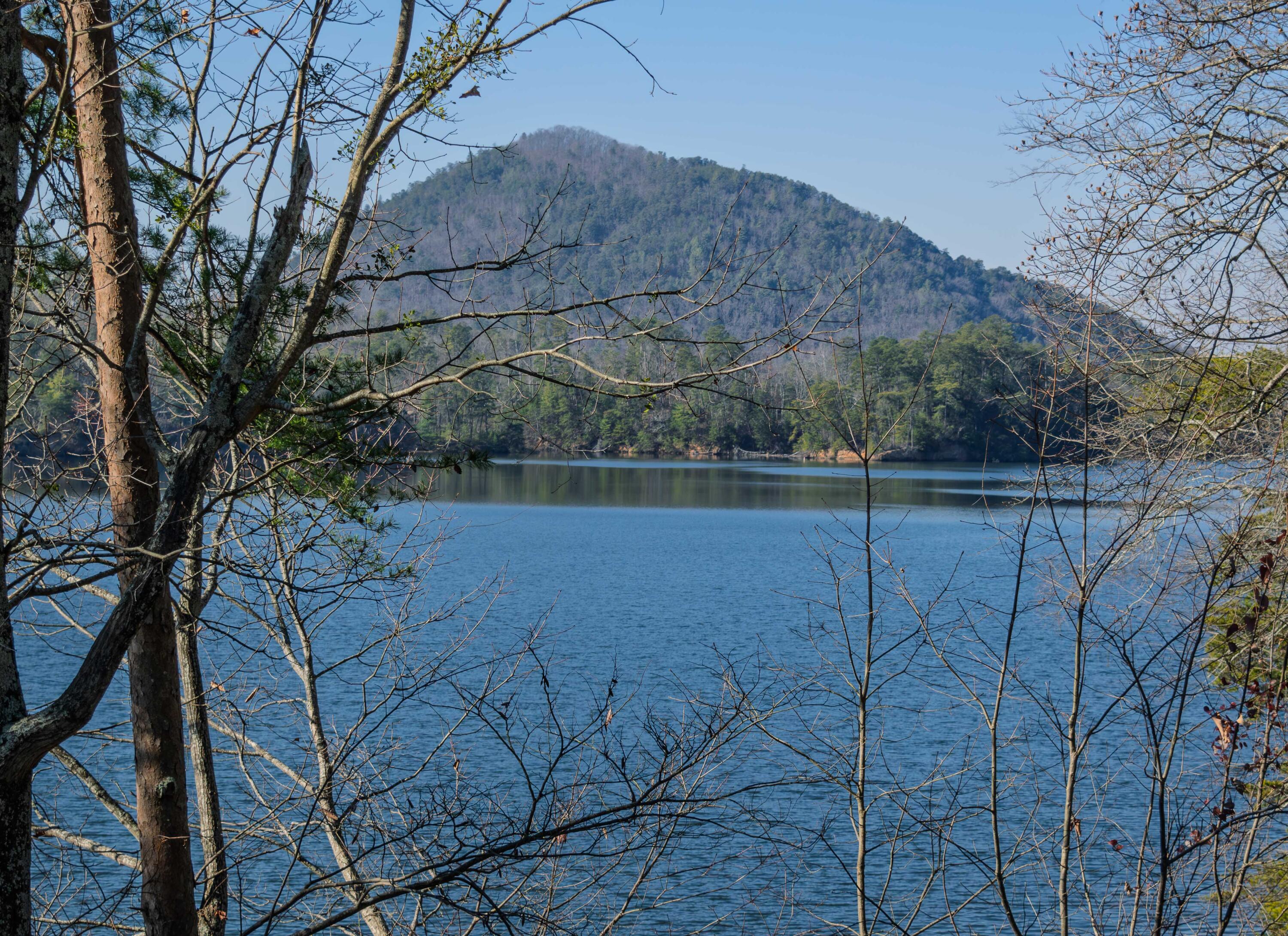 109 Cherokee Ridge Drive, Unit 50 Ocoee, TN 37361 - Photo 13 of 22 MLS_Ready-06