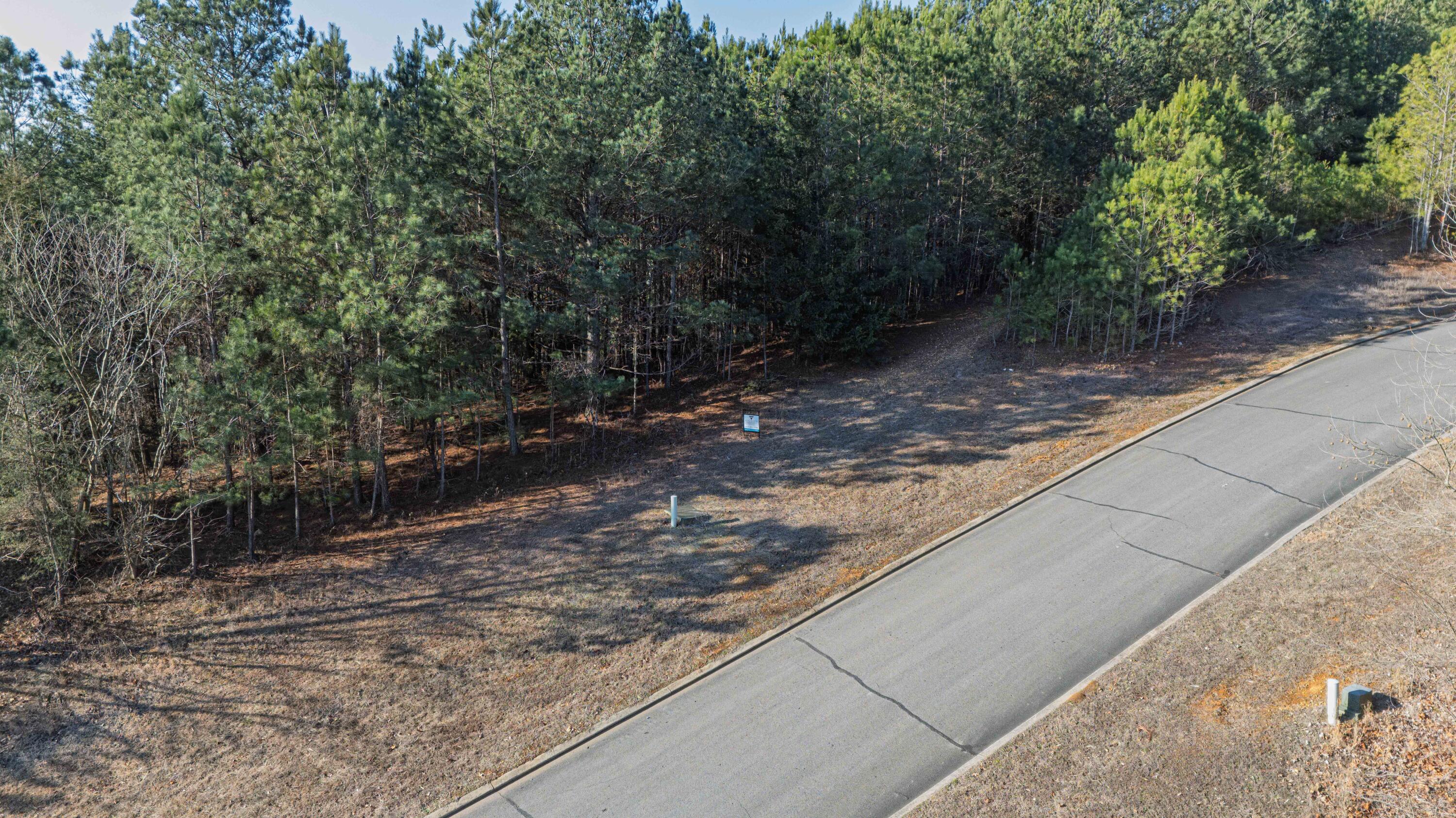 109 Cherokee Ridge Drive, Unit 50 Ocoee, TN 37361 - Photo 20 of 22 MLS_Ready-25