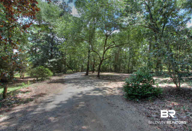 22585 Main Street Fairhope, AL 36532 - Photo 23 of 30 driveway