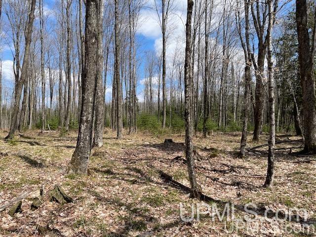 Tbd Way Dam Road Crystal Falls, MI 49920 - Photo 21 of 30 Gallery Image 21