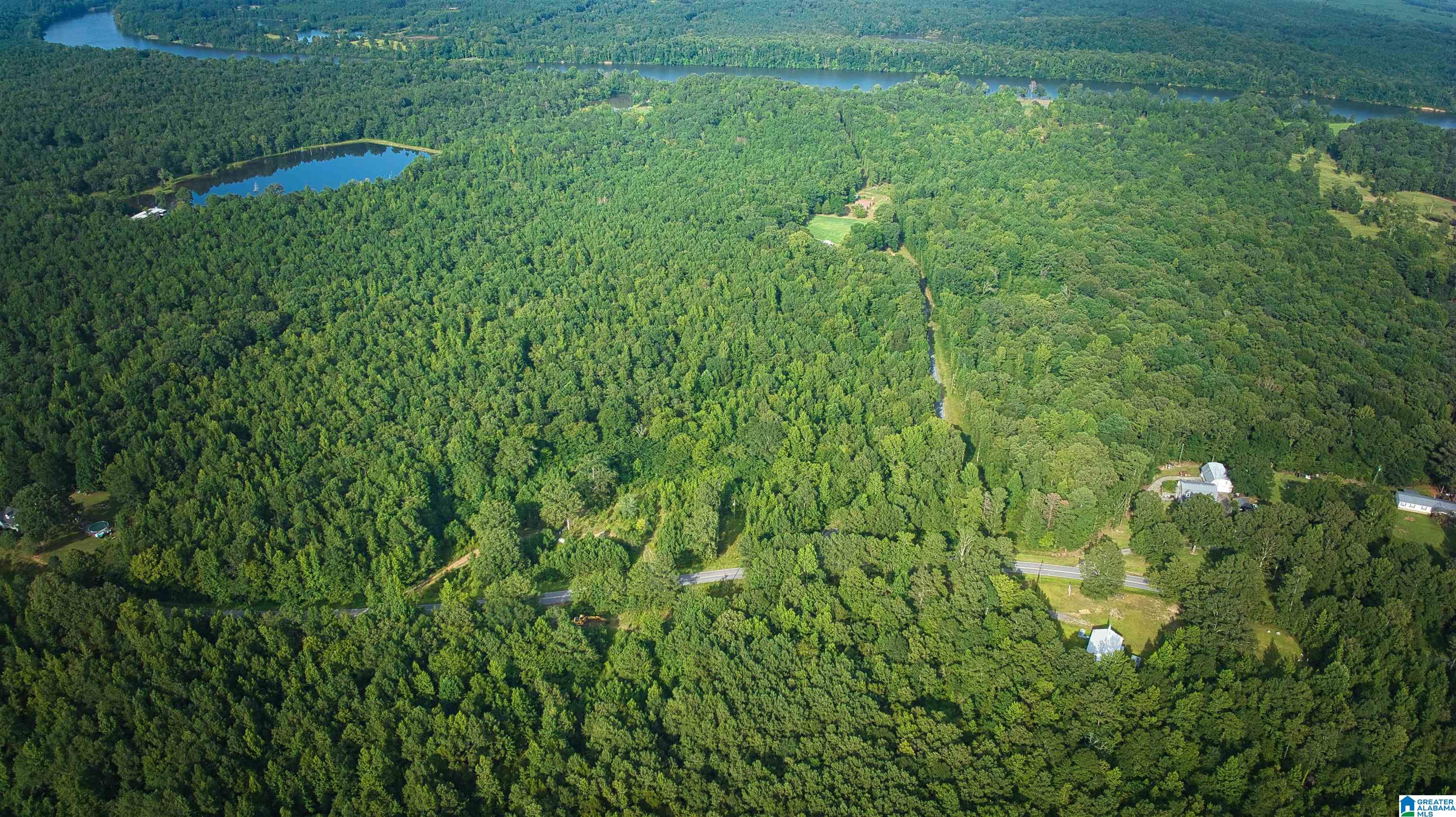 Lot 25 Wester Road, Unit LOT 25 Ragland, AL 35131 - Photo 8 of 27
