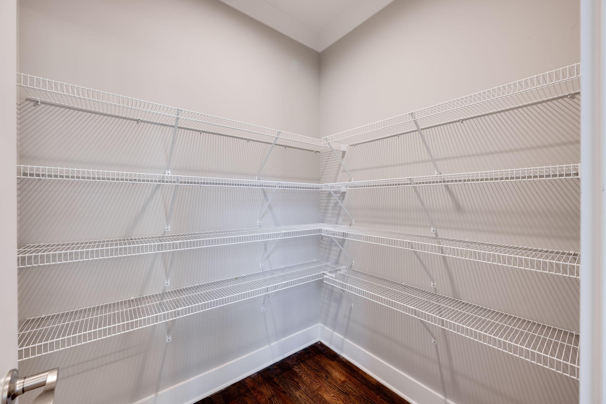 10619 Kavya Lane Apison, TN 37302 - Photo 17 of 55 Walk in Pantry