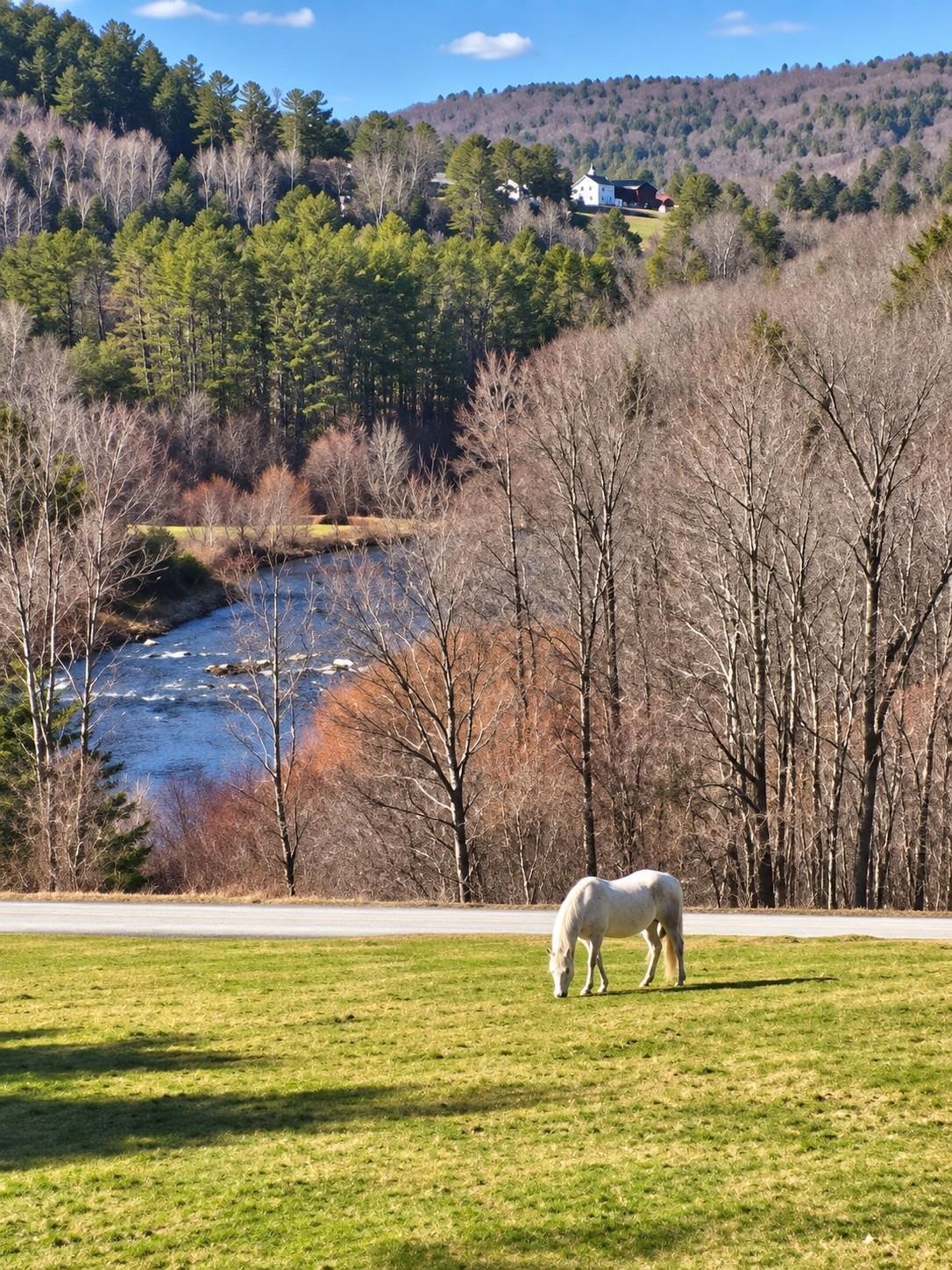 72 Wood Road Hartford, VT 05059 - Photo 10 of 11 Gallery Image 10