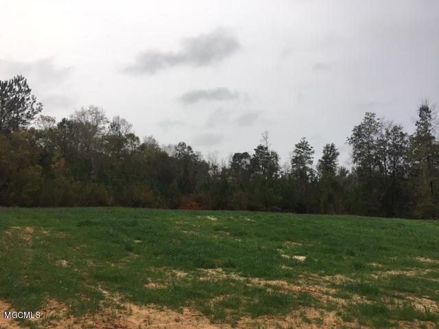 Tbd Moran Road Gulfport, MS 39503 - Photo 13 of 13 HouseSite