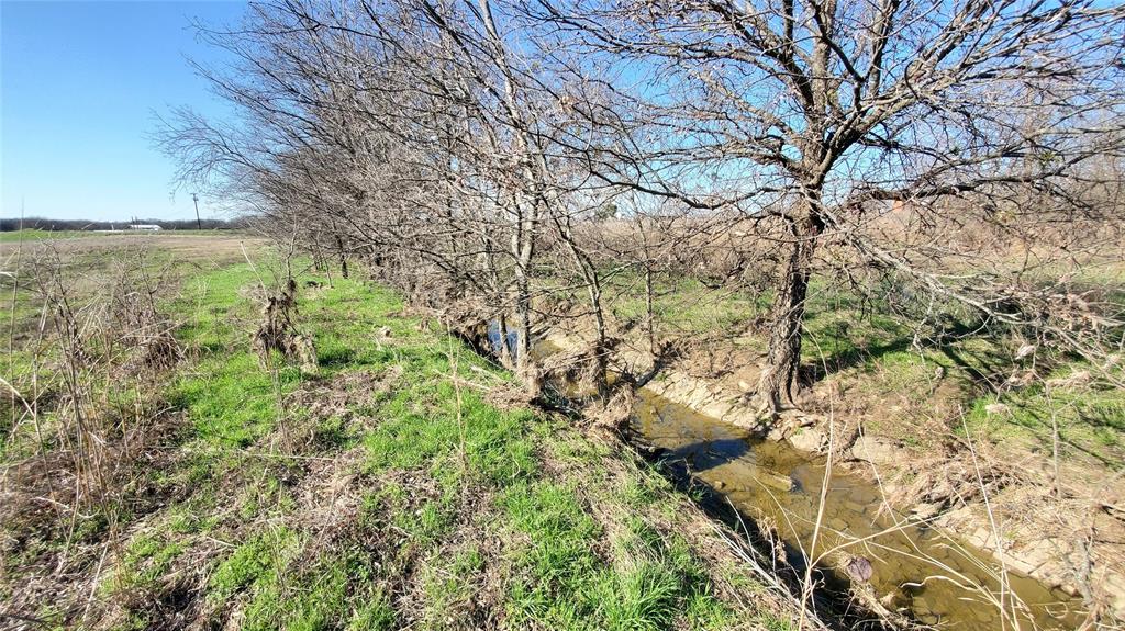 400 Highway 22 Frost, TX 76641 - Photo 11 of 40 a view of a yard with a tree