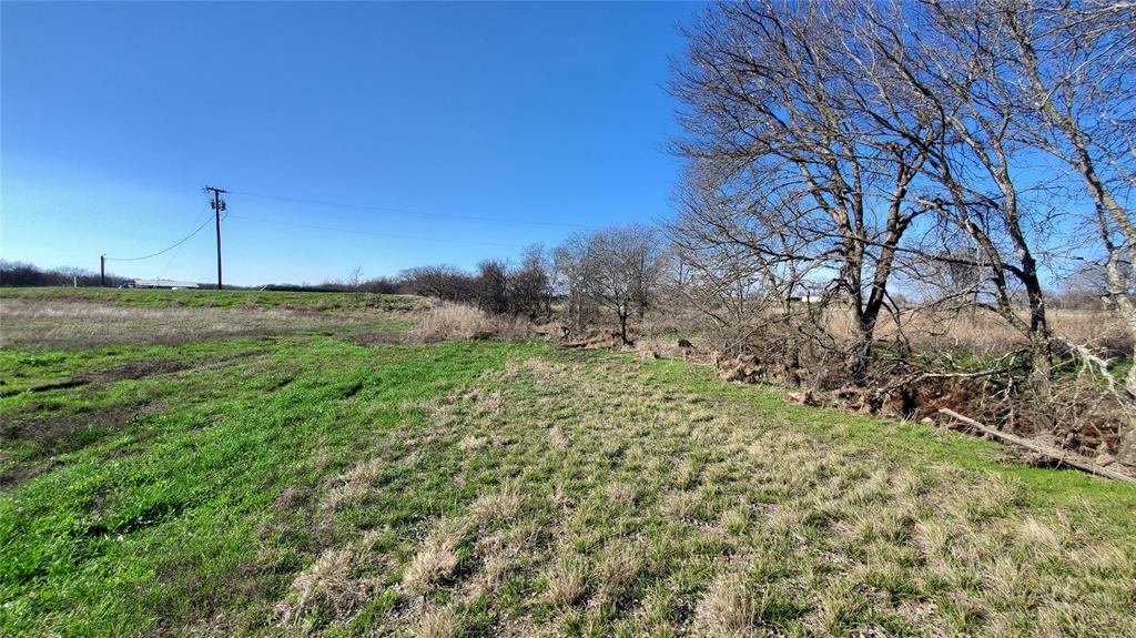 400 Highway 22 Frost, TX 76641 - Photo 15 of 40 a view of a yard with an tree