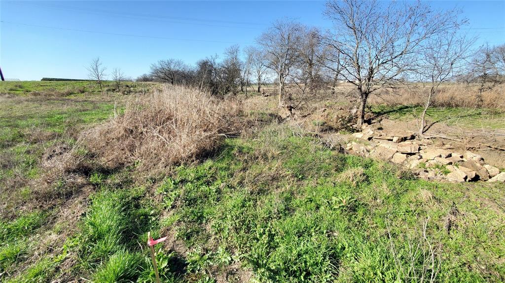 400 Highway 22 Frost, TX 76641 - Photo 18 of 40 a view of a yard with a tree