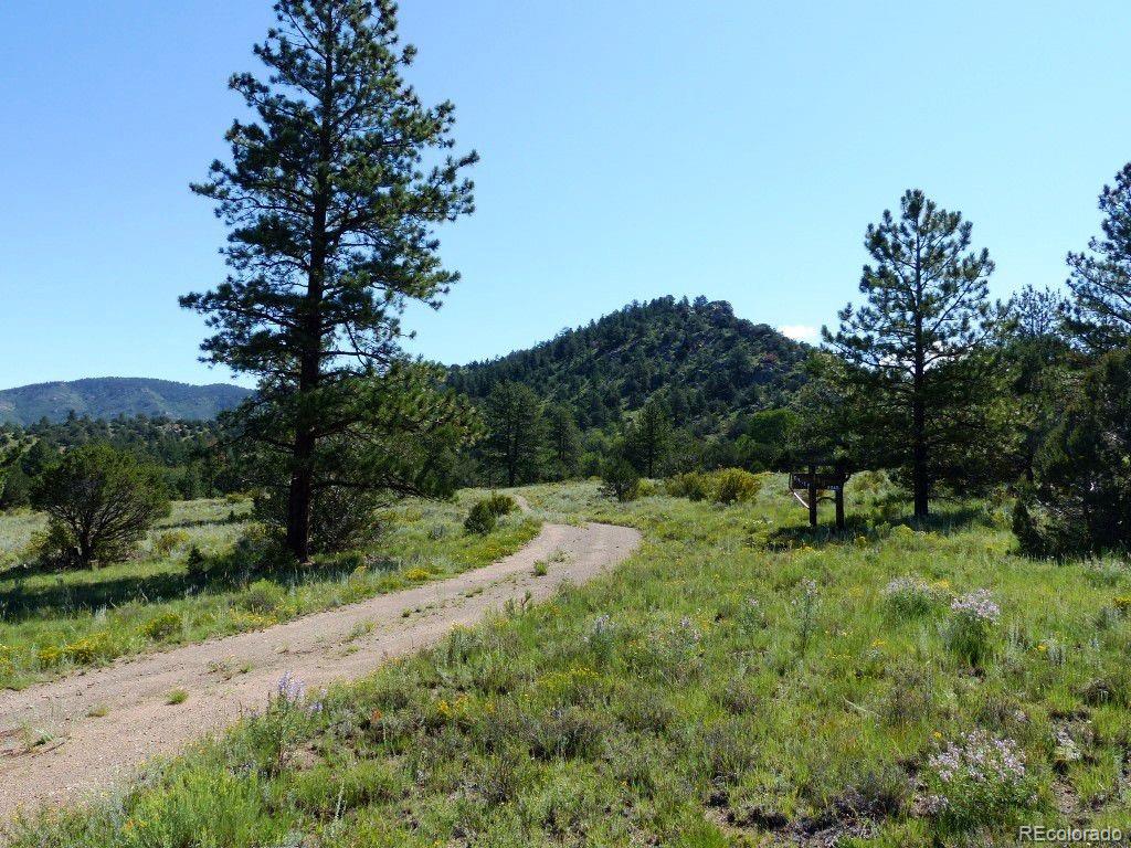 449 Dilley Road Westcliffe, CO 81252 - Photo 5 of 27 Gallery Image 5