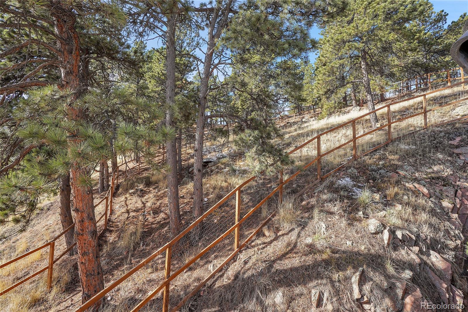 6057 Red Hill Road Boulder, CO 80302 - Photo 30 of 41 a view of a yard with large trees