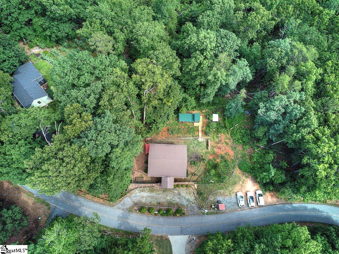 189 Caledonia Road Landrum, SC 29356 - Photo 40 of 44