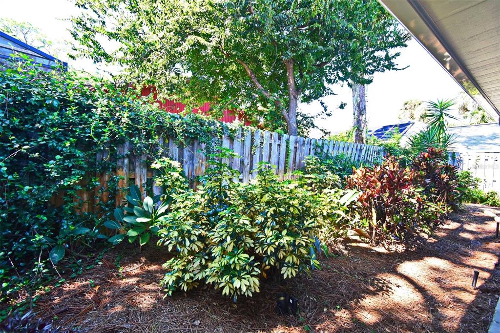 1312 2nd Street Edgewater, FL 32132 - Photo 38 of 41 a view of a garden with plants